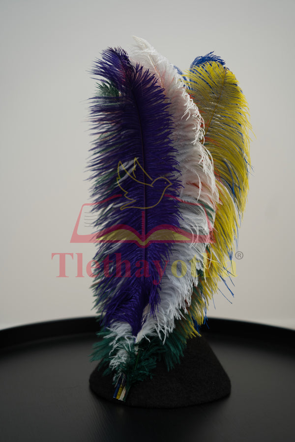 Long Ostrich Feathers | Long Feathers for Kids | Tlethayotha