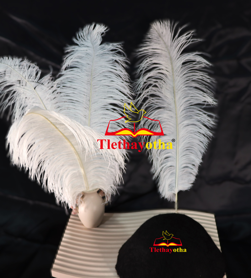 Traditional Long Feathers