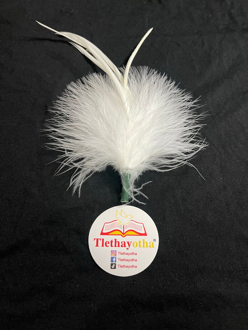 How to Care for Ostrich Feathers