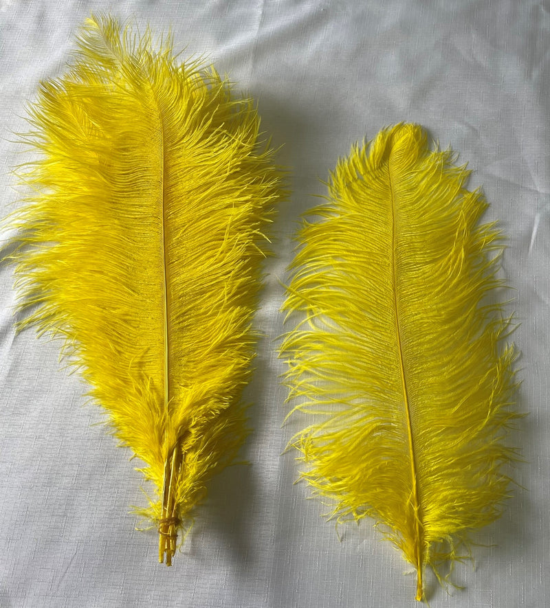 Long Decoration Feathers | Decoration Feathers | Tlethayotha
