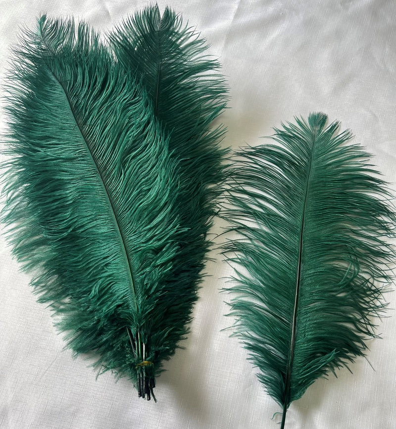 Long Decoration Feathers | Decoration Feathers | Tlethayotha